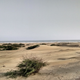 Illustration for article titled We Took A Beat Up Suzuki 500 KMS To Visit A Beach